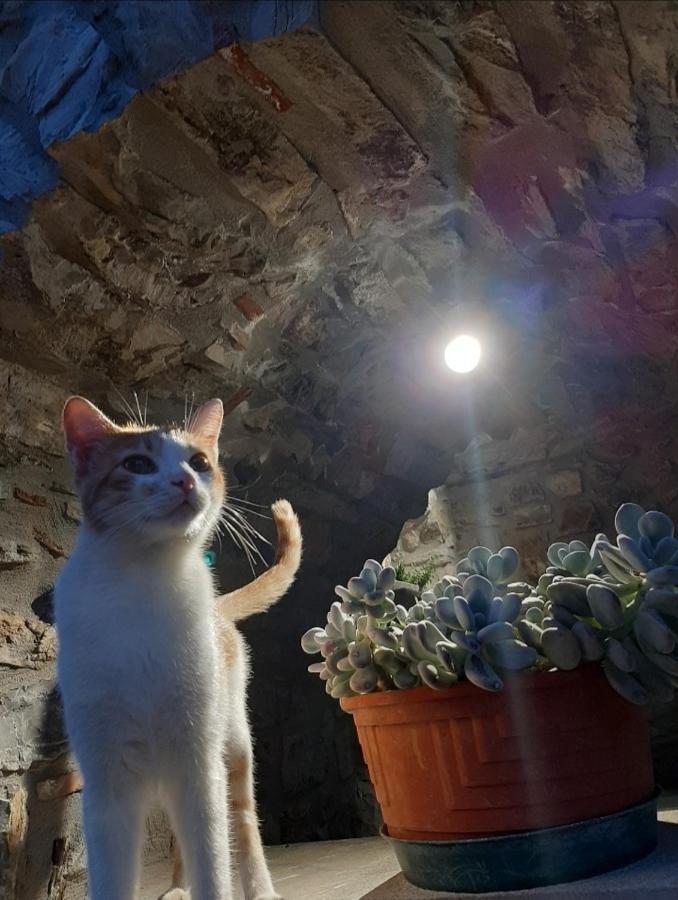 Tenuta Il Giardino Di Eros Albanella Bagian luar foto